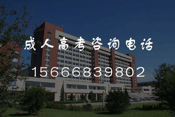 2024年泰安成人高考考几天？