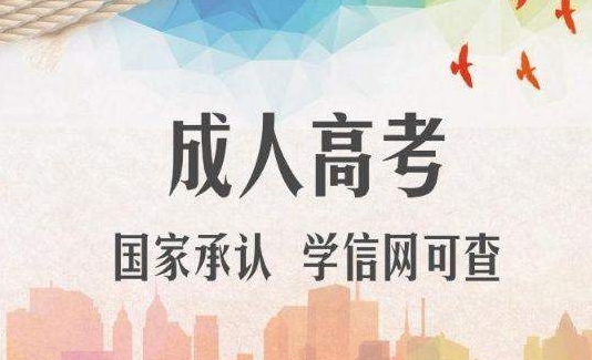 2024年泰安成考专升本报考流程
